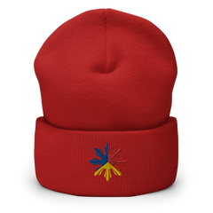 Philippines Tricolor Sun Cuffed Beanie