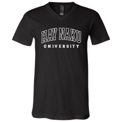 Hay Naku University Law Unisex Jersey V-Neck T-Shirt