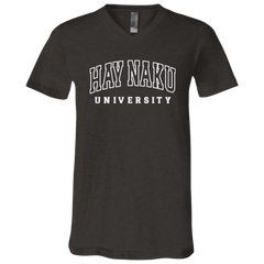 Hay Naku University Law Unisex Jersey V-Neck T-Shirt