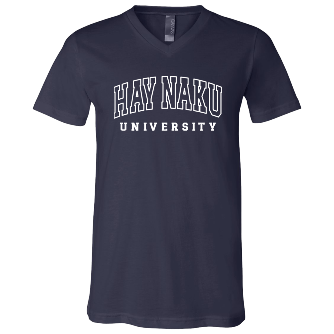 Hay Naku University Law Unisex Jersey V-Neck T-Shirt