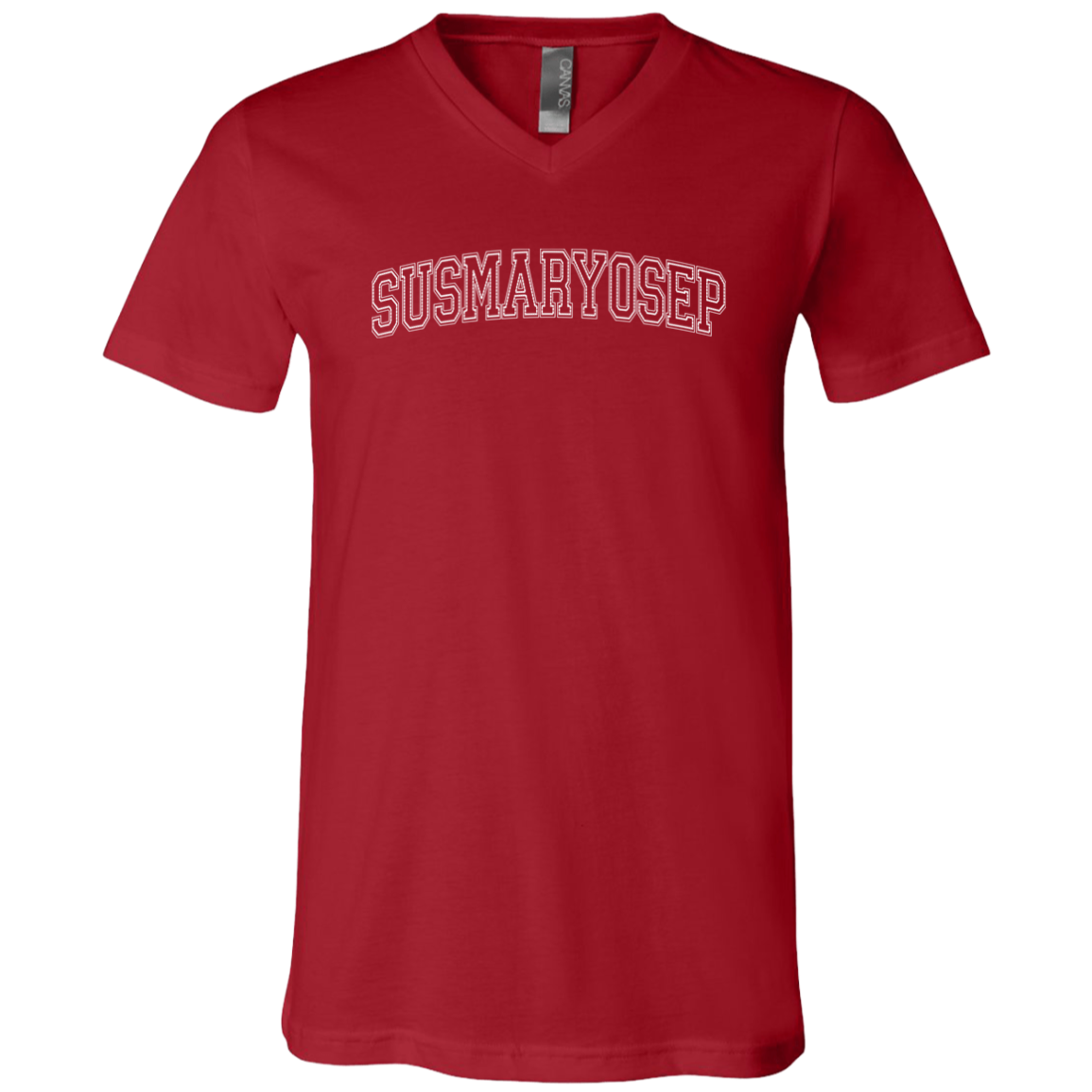 Susmaryosep Arch Unisex Jersey V-Neck T-Shirt