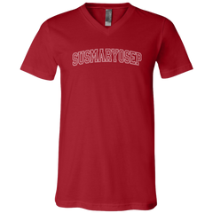 Susmaryosep Arch Unisex Jersey V-Neck T-Shirt